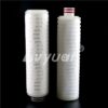 DOE PP PTFE PVDF Pleated Cartridge Nitrogen Gas Filter