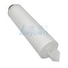 Cartucho filtrante plisado de 10 pulgadas (6) Cartucho filtrante plisado de 10 pulgadas (6)