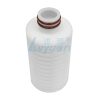 Cartucho filtrante plisado compacto de 5 pulgadas (1)