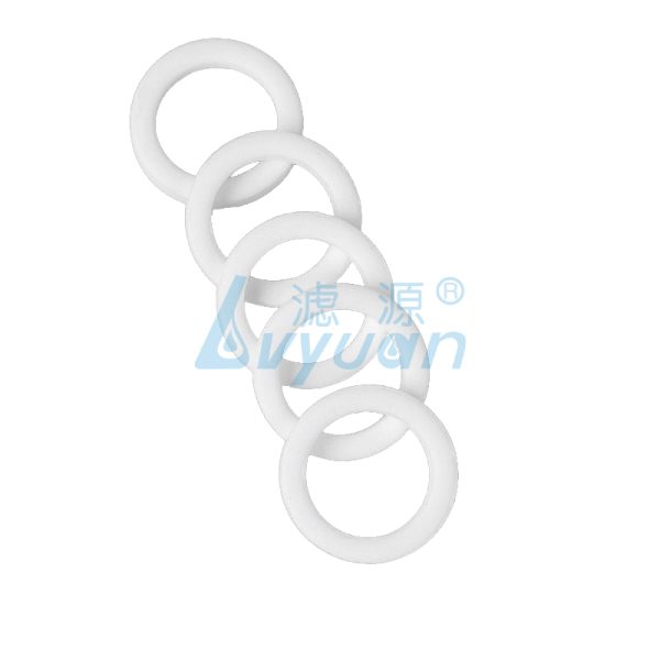 Sintered Porous PE Ring Filter
